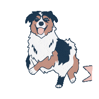 theladiescoach dogs tlc astro australian shepard Sticker