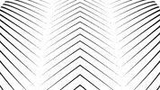 sub pop visualizer GIF by Sub Pop Records