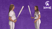 Warriors Softball GIF by WinonaStateATH