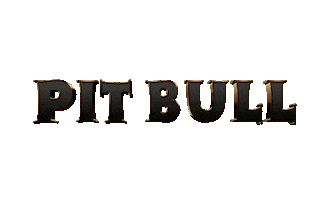 Pitbull Sintonize Sticker by Pit Bull Jeans