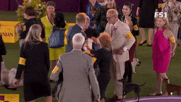 Now Everyone's Going To Gather And Congratulate