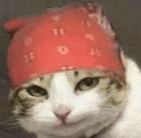 Cat Ricardo Milos GIF