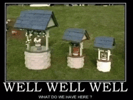 Instagram What Do We Have Here GIF