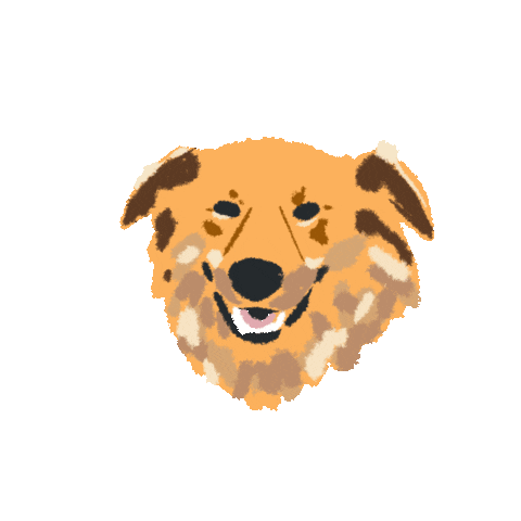 Happy Fun Sticker
