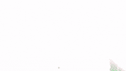 bayer04 love happy soccer bundesliga GIF