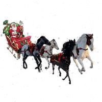 Christmas Snow Sticker by Primapolo Productions