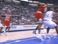 chicago bulls block GIF