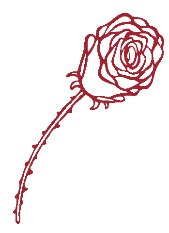 EPS-Kommunikation giphyupload love romance rose Sticker