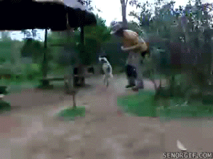 man jumping GIF by Cheezburger
