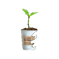 Coffee Caritas Sticker by youngcaritas Deutschland