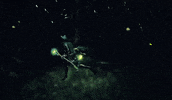 Cat Fantasy GIF by Astral Clocktower Studios