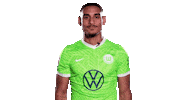 Go Home Football Sticker by VfL Wolfsburg