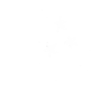 lwbean dancing star stars white stars Sticker