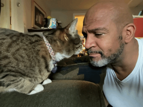 ulyssesecampbell giphygifmaker GIF