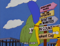 confused homer simpson GIF