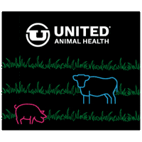 unitedanh chicken pig cow livestock GIF