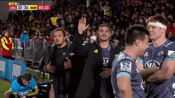 Super Rugby Hurricanes GIF by NZ Rugby
