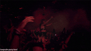 party love GIF