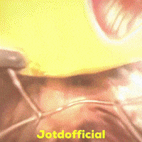 Ms Dhoni Kkr GIF