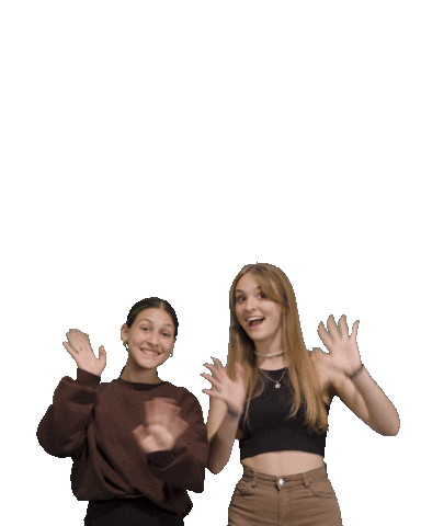 Wave Hello Sticker by Schweizer Radio und Fernsehen
