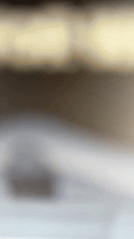 Wave Hello GIF by Youtooz