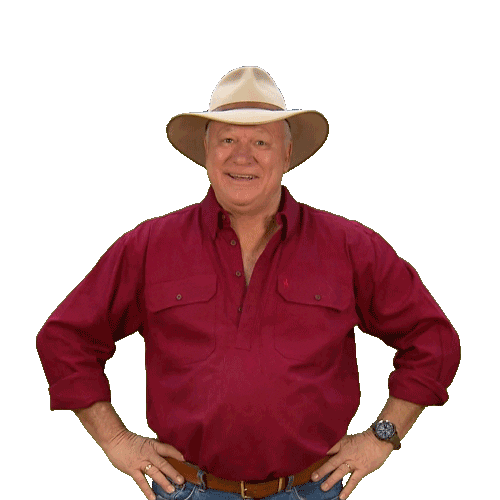 Renovate Channel 9 Sticker by The Block