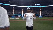Lets Go Baseball GIF by Toronto Blue Jays