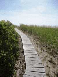 beach house GIF