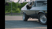 25 GIF by nikidemar