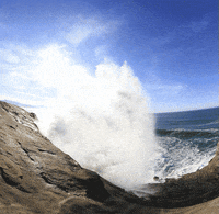 Die A Little GIF by hateplow