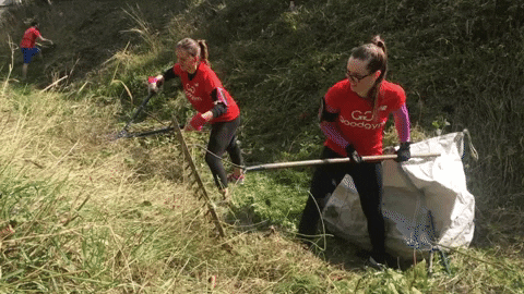 bethn90  GIF