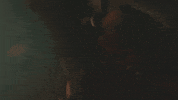 fox tv GIF by STAR