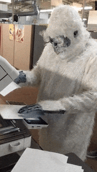 lootcrate office hurry slow yeti GIF