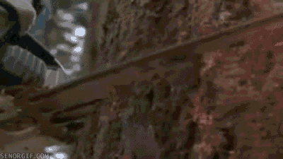 chuck norris chainsaw GIF by Cheezburger