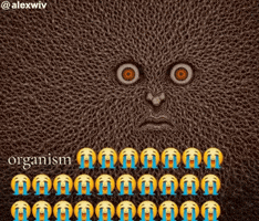Son Folk GIF