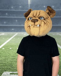 MUGRootBeer dog first down mug root beer mug moment GIF