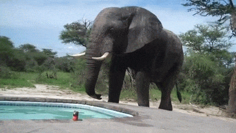 thirst GIF