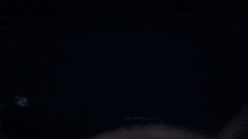 Reveal Trunk GIF by ABC Network