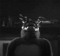 Black And White GIF by hoppip