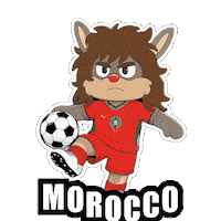 World Cup Football Sticker