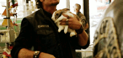 tig trager GIF