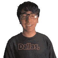 Dallas Sticker
