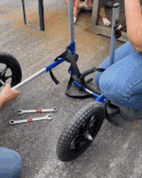 Kerkoc giphyupload orthopedics orthopädie kerkoc GIF