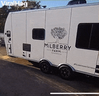 Confused Birds Fly Into Side Of Trailer GIF by ViralHog