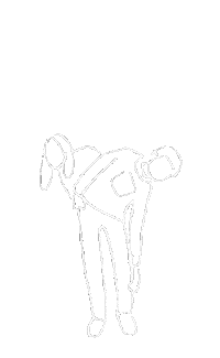 Happy Dance Sticker