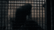 Adow GIF by A Discovery of Witches