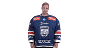 Celebration GIF by Fehervar AV19