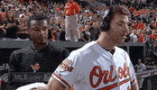 bal GIF by MLB
