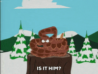 GIF by South Park 