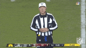 2019 Nfl Football GIF by NFL